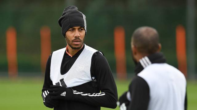 auba_136.jpg